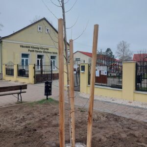 faültetés-iskola-másik