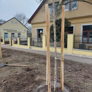 faültetés-iskola-egyik