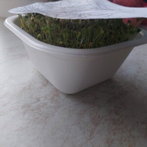 Reggelre felnyomta a takaró lapot